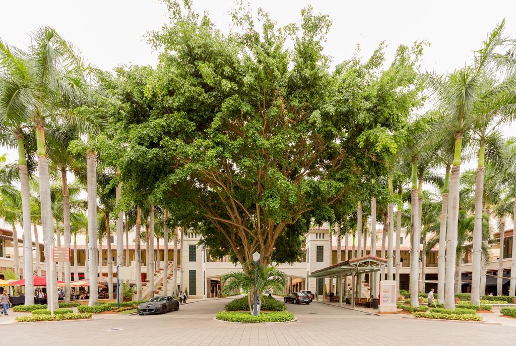 Pelicanstay In Coral Gables Miami Exteriör bild
